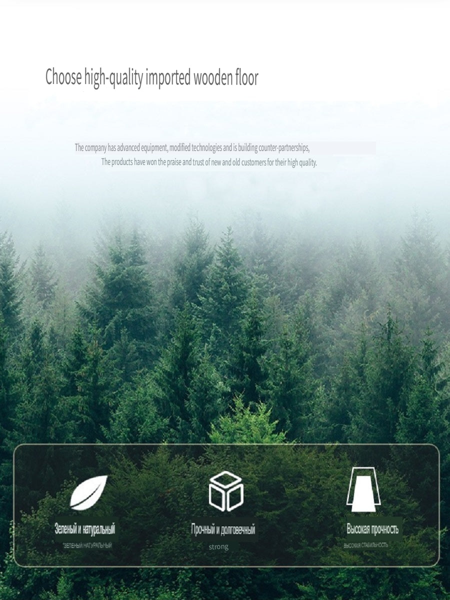 MYZD Black walnut/beech wood cartoon snail creative tea coasters, 5 pieces