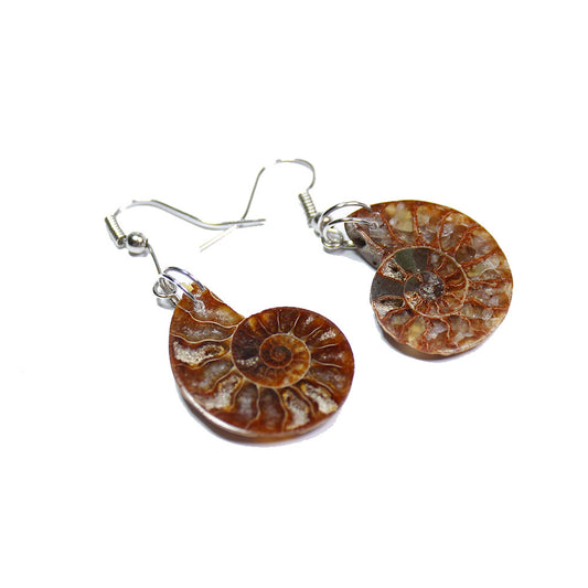 RYS A pair of handmade earrings carved from natural shell fossils