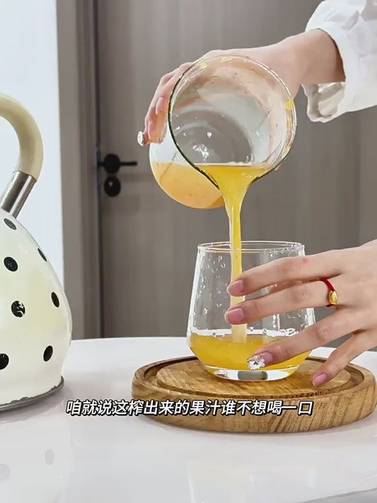 HOMGED 304 stainless steel manual juicer